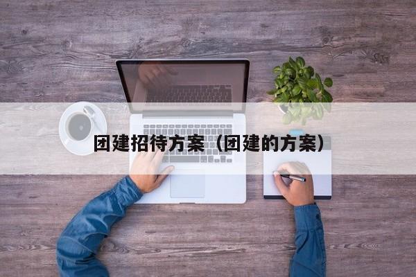 團建招待方案(團建的方案)