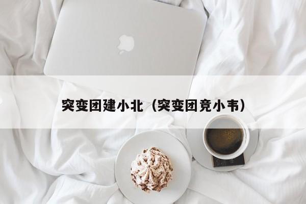 突變團建小北(突變團競小韋)