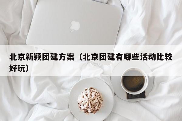 北京新穎團建方案(北京團建有哪些活動比較好玩)