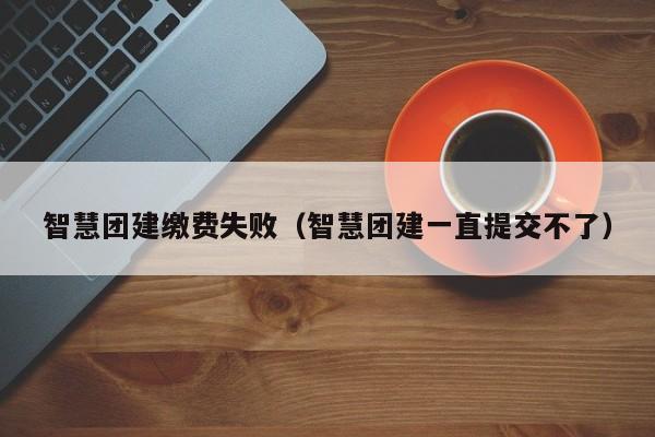 智慧團建繳費失敗(智慧團建一直提交不了)